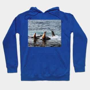 Sea Lions, marine life, wildlife, gifts, Feeling Good Hoodie